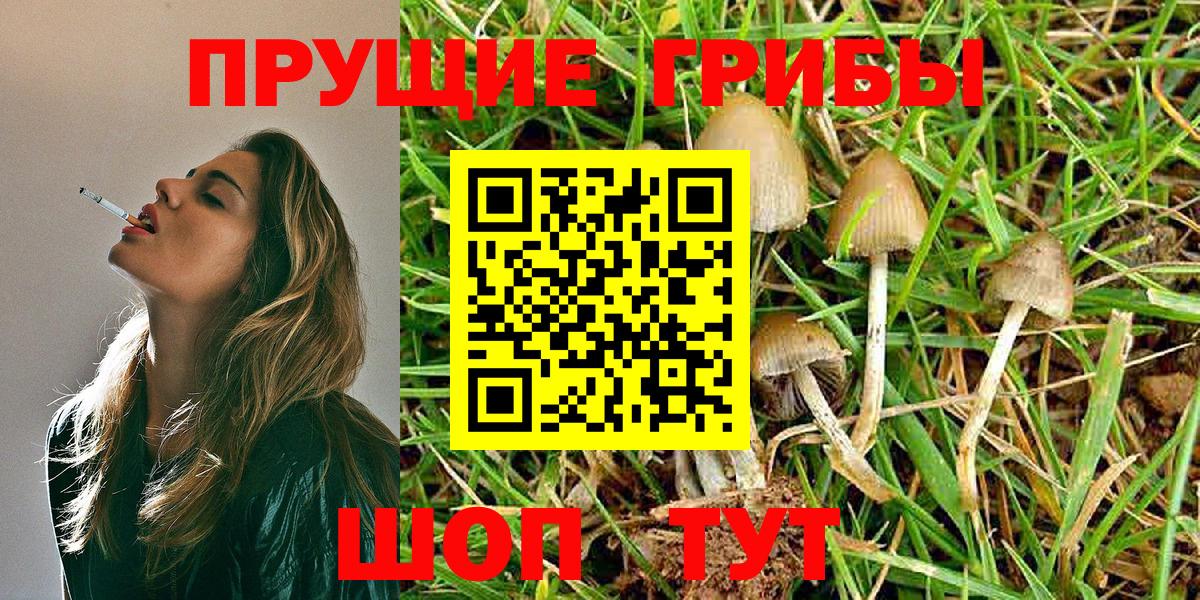 Псилоцибиновые грибы Magic Shrooms  Вход с VPN  Белая Калитва 