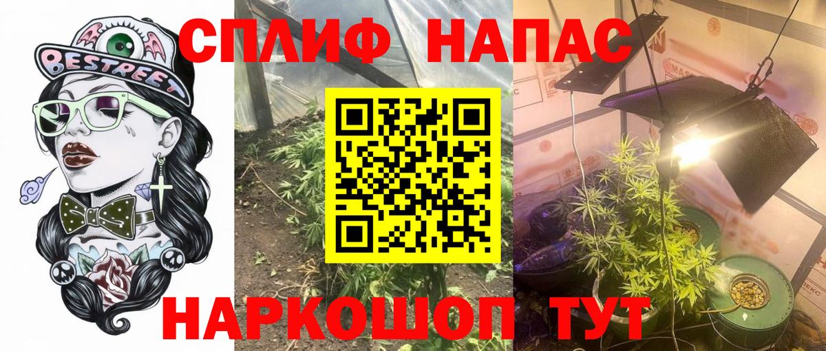 Каннабис сатива  Вход с VPN  Белая Калитва  Канабис Ganja  Каннабис THC 21%  МАРИХУАНА тримм 
